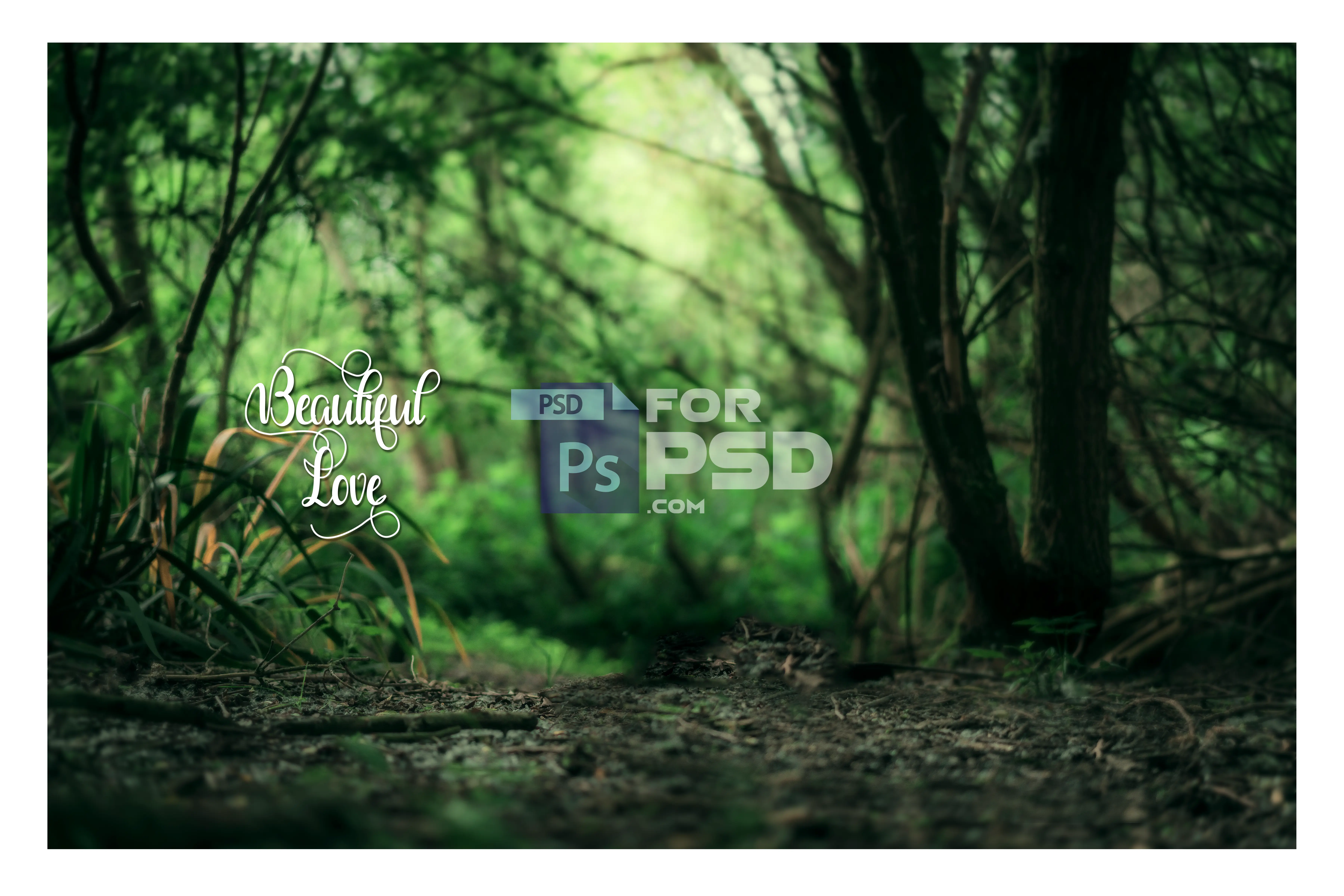 Image Preview